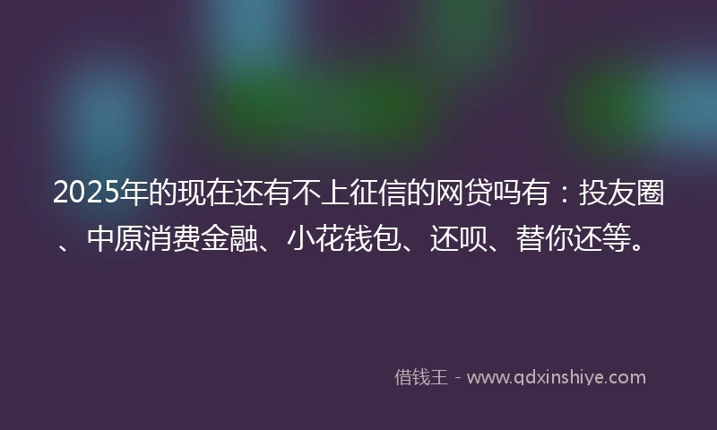 2025年的现在还有不上征信的网贷吗有：投友圈、中原消费金融、小花钱包、还呗、替你还等。