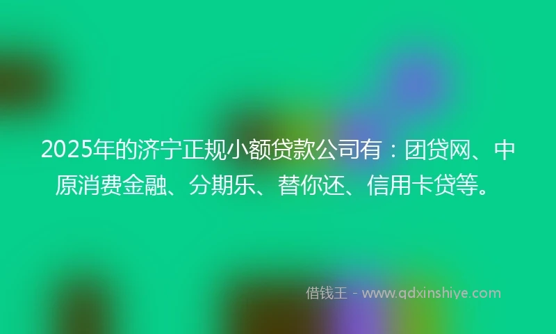 2025年的济宁正规小额贷款公司有：团贷网、中原消费金融、分期乐、替你还、信用卡贷等。