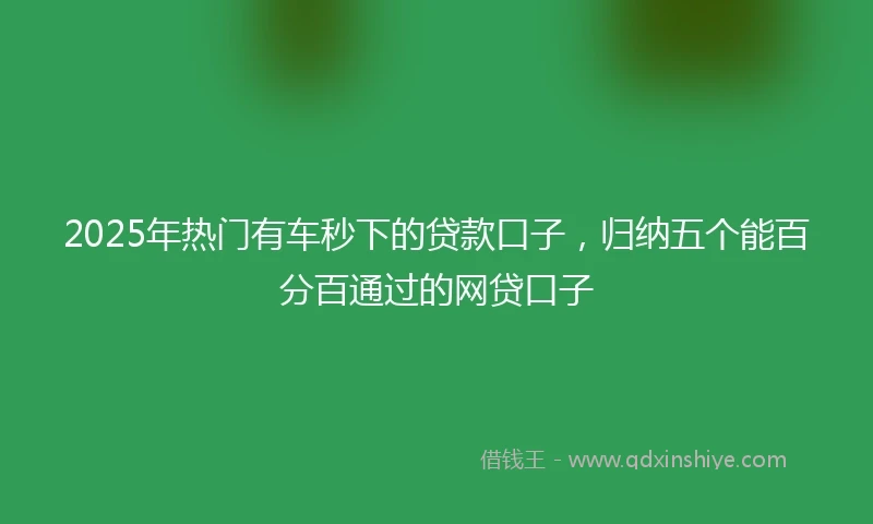 2025年热门有车秒下的贷款口子，归纳五个能百分百通过的网贷口子