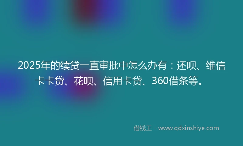 2025年的续贷一直审批中怎么办有：还呗、维信卡卡贷、花呗、信用卡贷、360借条等。