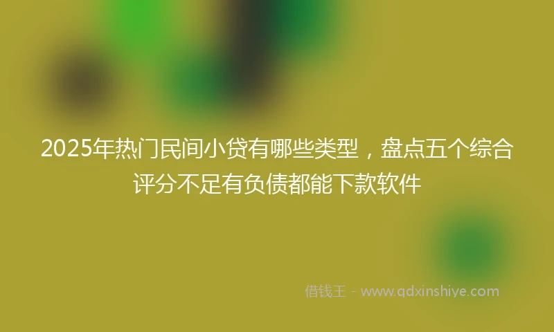 2025年热门民间小贷有哪些类型，盘点五个综合评分不足有负债都能下款软件