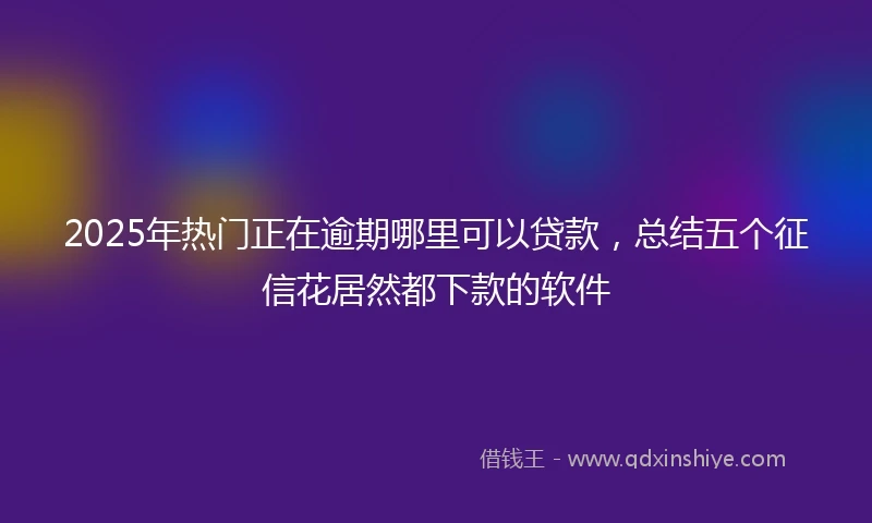 2025年热门正在逾期哪里可以贷款，总结五个征信花居然都下款的软件