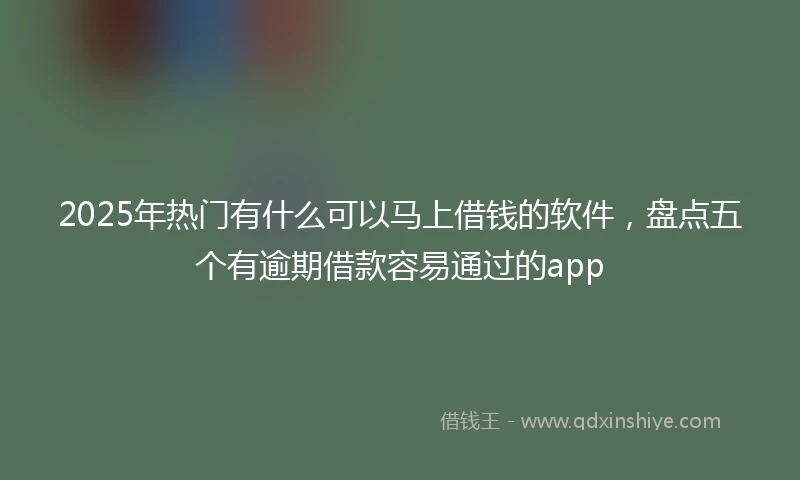 2025年热门有什么可以马上借钱的软件，盘点五个有逾期借款容易通过的app