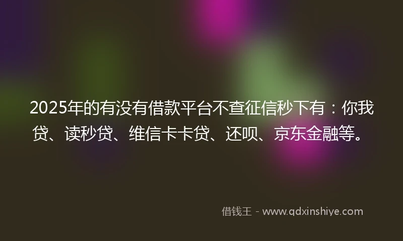 2025年的有没有借款平台不查征信秒下有：你我贷、读秒贷、维信卡卡贷、还呗、京东金融等。