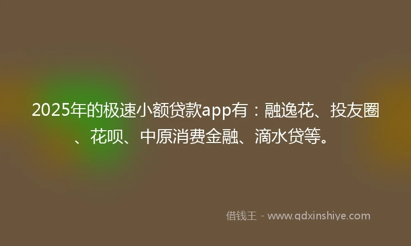 2025年的极速小额贷款app有：融逸花、投友圈、花呗、中原消费金融、滴水贷等。