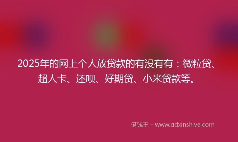 2025年的网上个人放贷款的有没有有：微粒贷、超人卡、还呗、好期贷、小米贷款等。