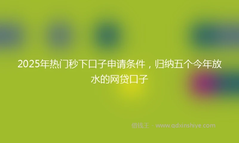 2025年热门秒下口子申请条件，归纳五个今年放水的网贷口子