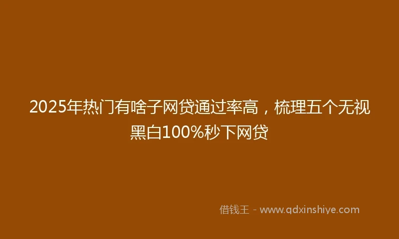 2025年热门有啥子网贷通过率高，梳理五个无视黑白100%秒下网贷