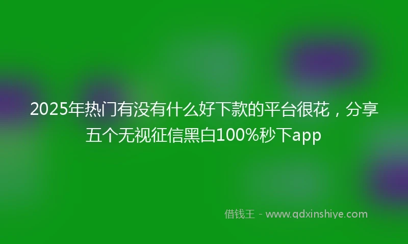 2025年热门有没有什么好下款的平台很花，分享五个无视征信黑白100%秒下app