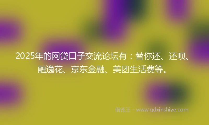 2025年的网贷口子交流论坛有：替你还、还呗、融逸花、京东金融、美团生活费等。