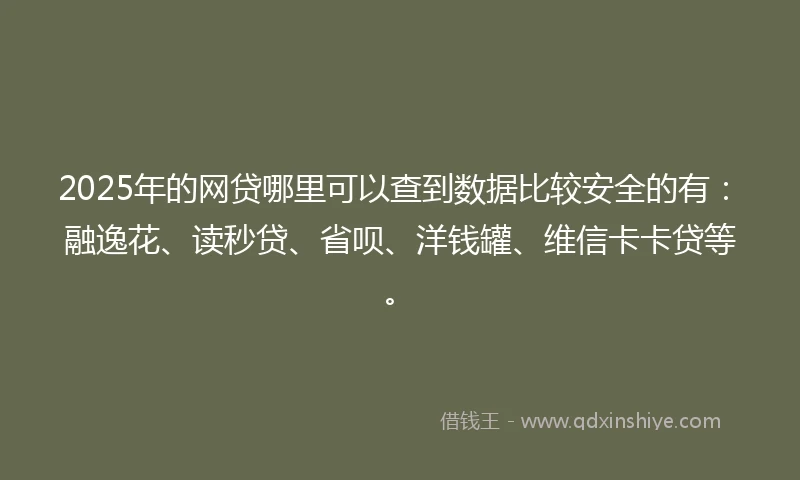 2025年的网贷哪里可以查到数据比较安全的有：融逸花、读秒贷、省呗、洋钱罐、维信卡卡贷等。