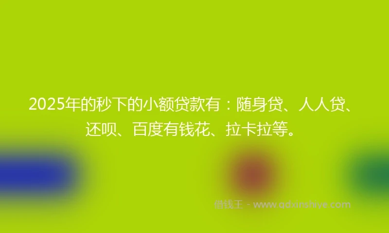 2025年的秒下的小额贷款有：随身贷、人人贷、还呗、百度有钱花、拉卡拉等。