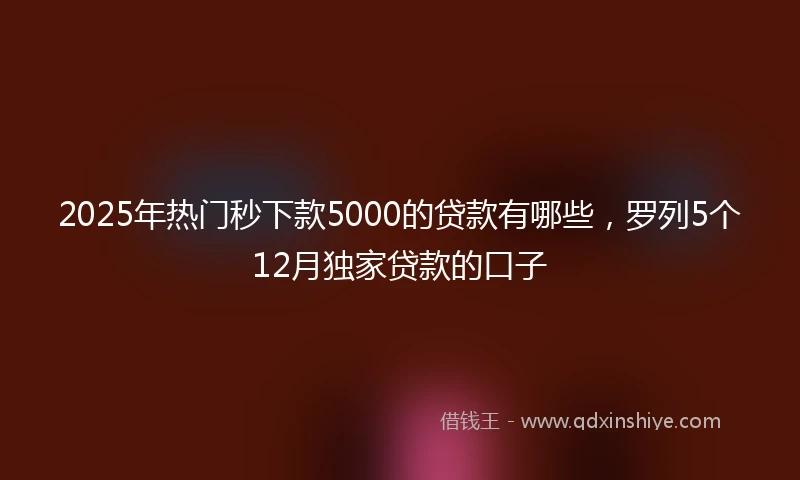 2025年热门秒下款5000的贷款有哪些，罗列5个12月独家贷款的口子