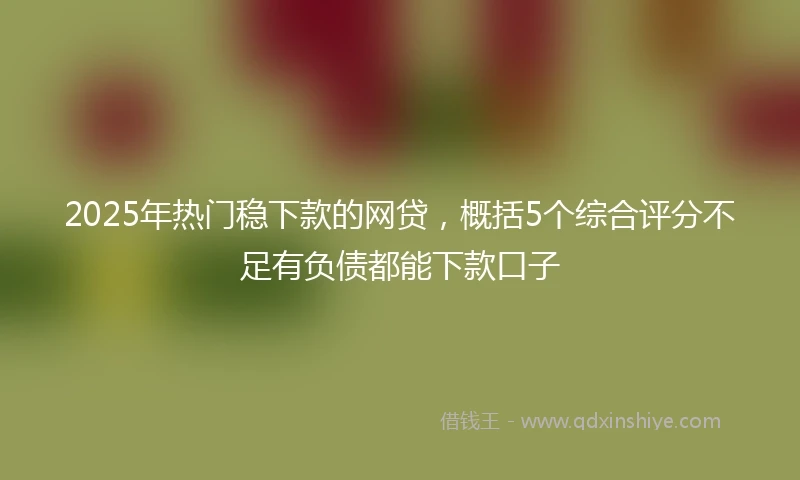2025年热门稳下款的网贷，概括5个综合评分不足有负债都能下款口子