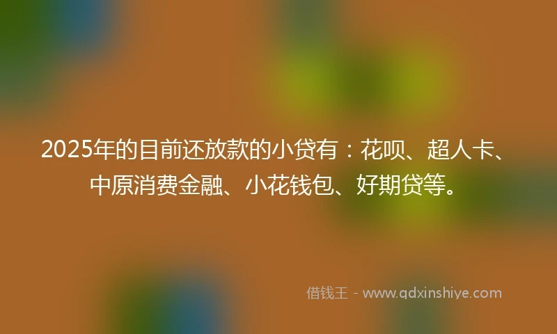 2025年的目前还放款的小贷有：花呗、超人卡、中原消费金融、小花钱包、好期贷等。