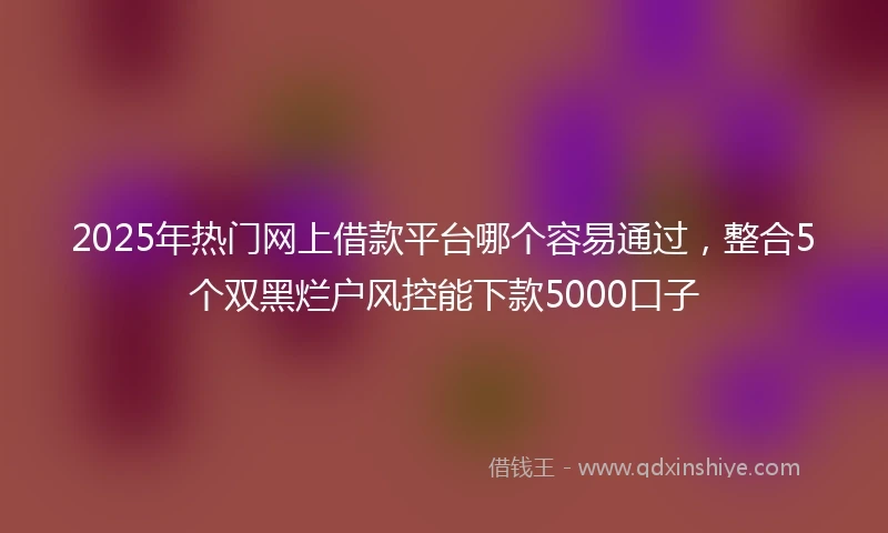 2025年热门网上借款平台哪个容易通过,整合5个双黑烂户风控能下款5000口子