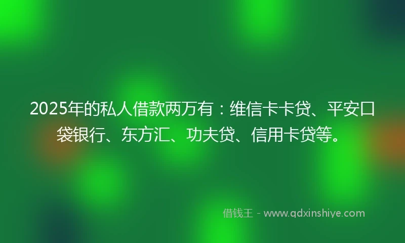 2025年的私人借款两万有：维信卡卡贷、平安口袋银行、东方汇、功夫贷、信用卡贷等。