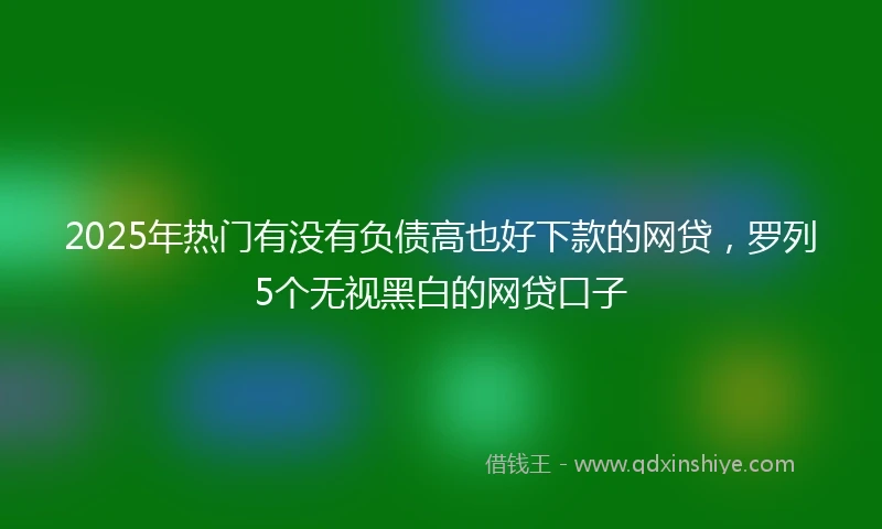 2025年热门有没有负债高也好下款的网贷，罗列5个无视黑白的网贷口子