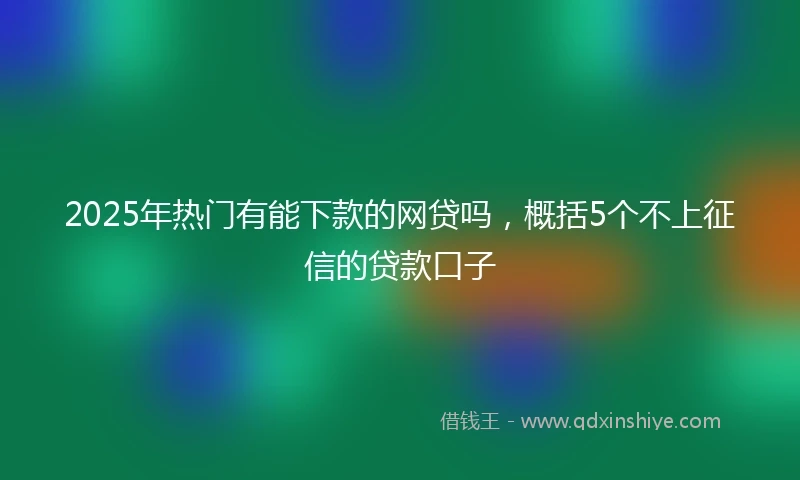 2025年热门有能下款的网贷吗，概括5个不上征信的贷款口子
