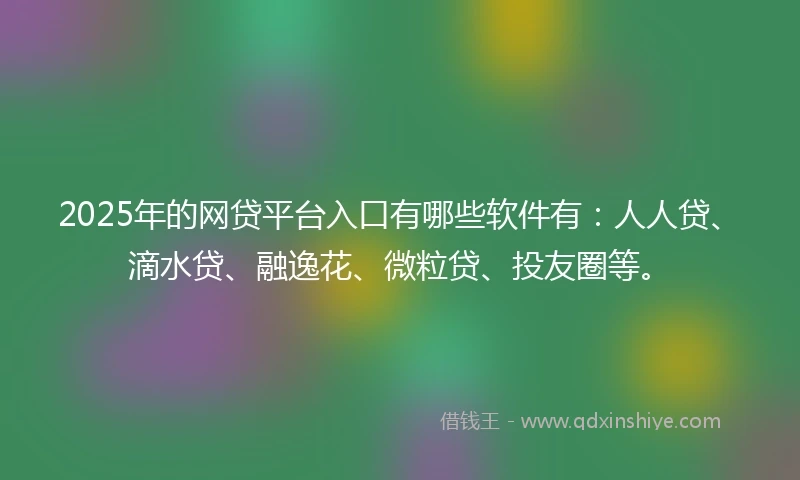 2025年的网贷平台入口有哪些软件有：人人贷、滴水贷、融逸花、微粒贷、投友圈等。