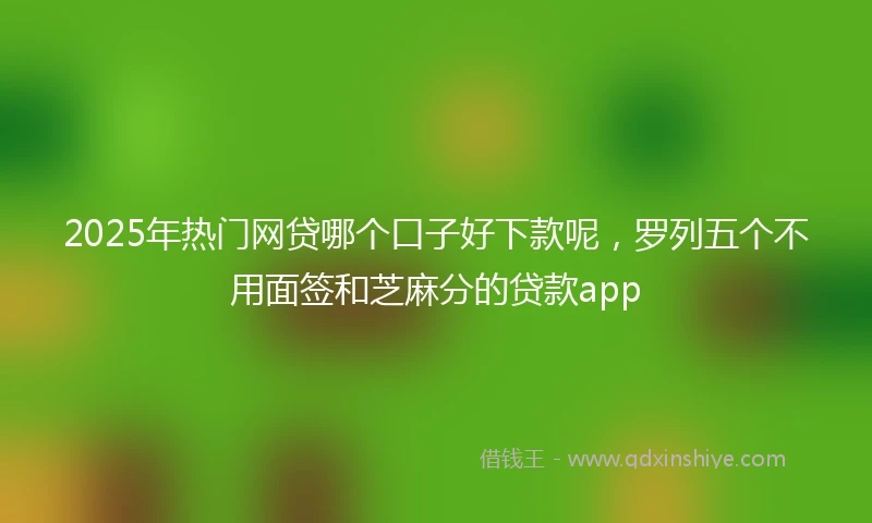 2025年热门网贷哪个口子好下款呢，罗列五个不用面签和芝麻分的贷款app