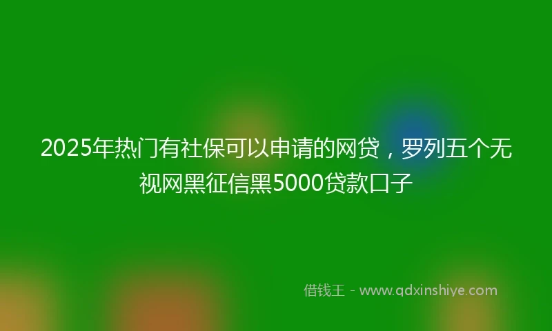 2025年热门有社保可以申请的网贷，罗列五个无视网黑征信黑5000贷款口子