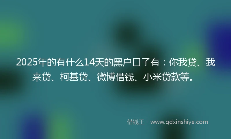 2025年的有什么14天的黑户口子有：你我贷、我来贷、柯基贷、微博借钱、小米贷款等。