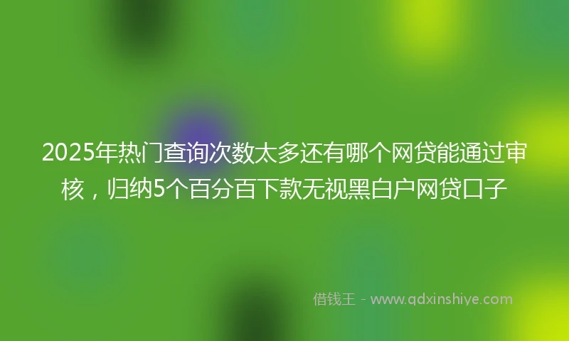 2025年热门查询次数太多还有哪个网贷能通过审核，归纳5个百分百下款无视黑白户网贷口子