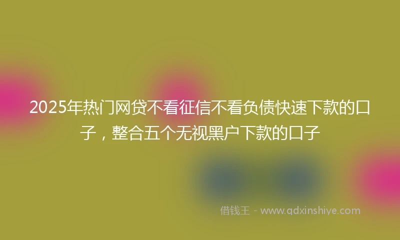 2025年热门网贷不看征信不看负债快速下款的口子，整合五个无视黑户下款的口子