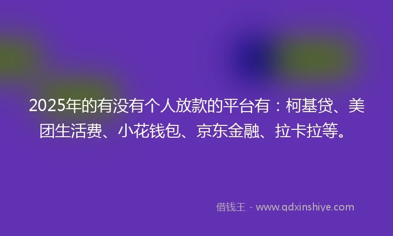 2025年的有没有个人放款的平台有：柯基贷、美团生活费、小花钱包、京东金融、拉卡拉等。