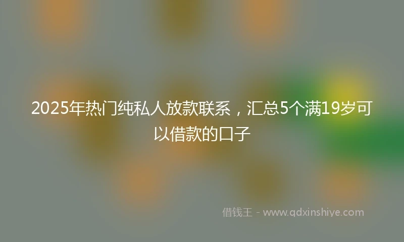 2025年热门纯私人放款联系，汇总5个满19岁可以借款的口子
