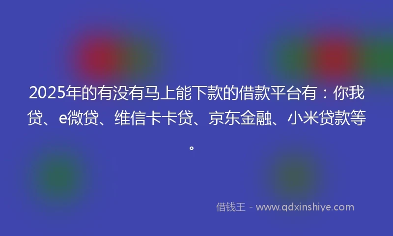 2025年的有没有马上能下款的借款平台有：你我贷、e微贷、维信卡卡贷、京东金融、小米贷款等。