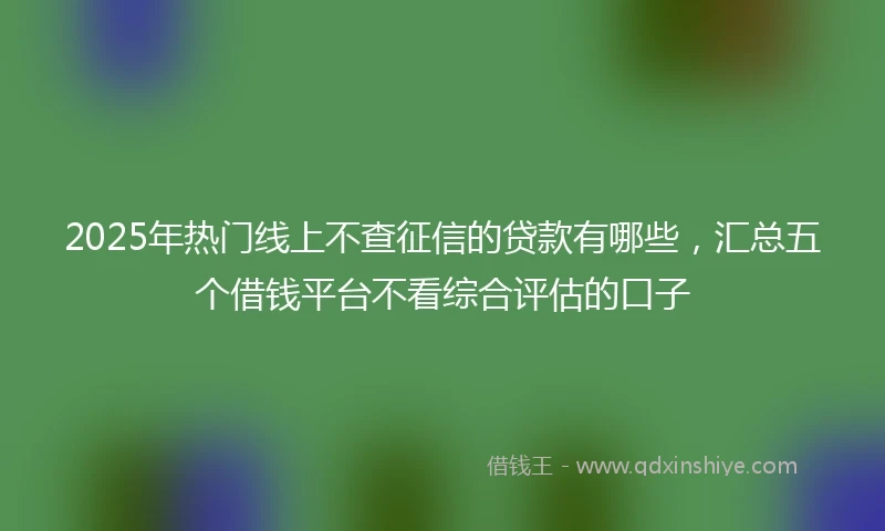 2025年热门线上不查征信的贷款有哪些，汇总五个借钱平台不看综合评估的口子