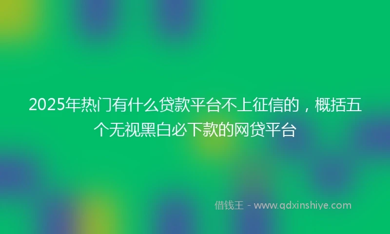2025年热门有什么贷款平台不上征信的，概括五个无视黑白必下款的网贷平台