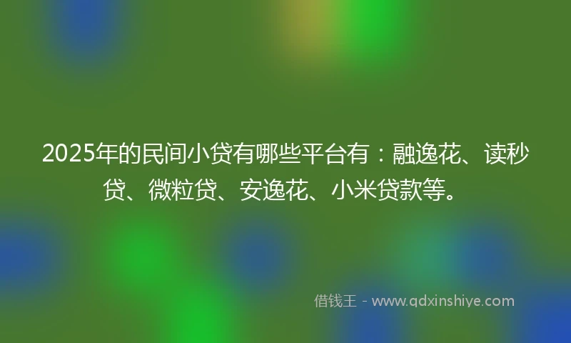 2025年的民间小贷有哪些平台有：融逸花、读秒贷、微粒贷、安逸花、小米贷款等。