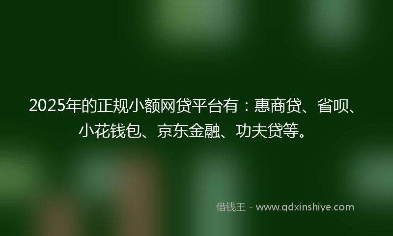2025年的正规小额网贷平台有：惠商贷、省呗、小花钱包、京东金融、功夫贷等。