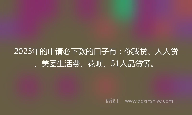 2025年的申请必下款的口子有：你我贷、人人贷、美团生活费、花呗、51人品贷等。