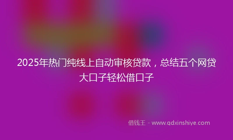 2025年热门纯线上自动审核贷款，总结五个网贷大口子轻松借口子