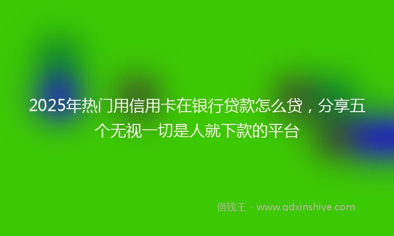 2025年热门用信用卡在银行贷款怎么贷，分享五个无视一切是人就下款的平台