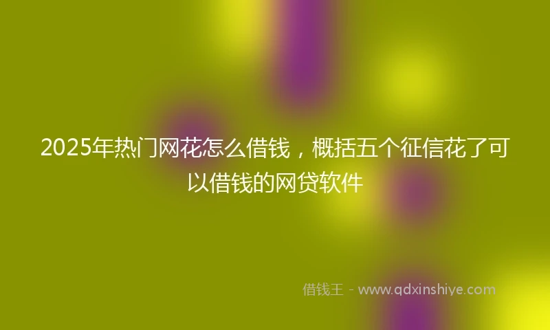 2025年热门网花怎么借钱，概括五个征信花了可以借钱的网贷软件