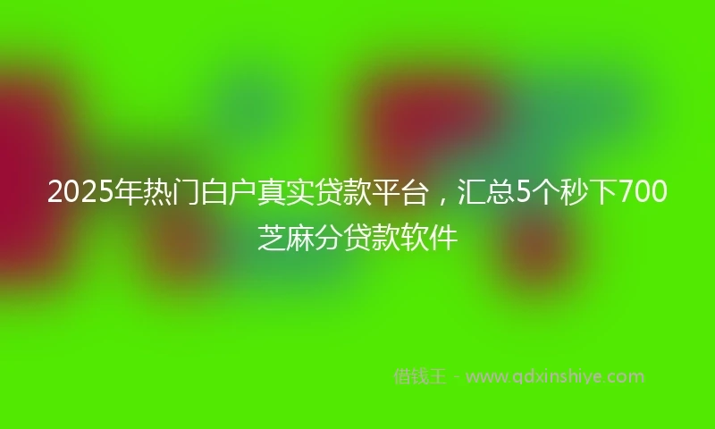 2025年热门白户真实贷款平台，汇总5个秒下700芝麻分贷款软件