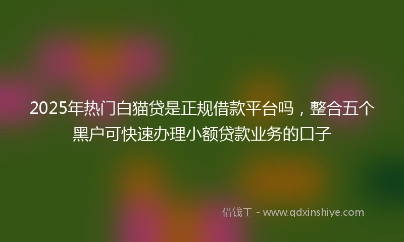 2025年热门白猫贷是正规借款平台吗，整合五个黑户可快速办理小额贷款业务的口子