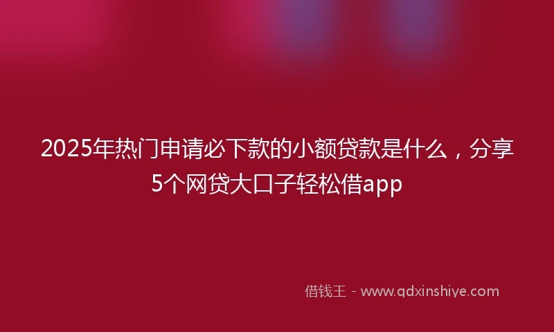 2025年热门申请必下款的小额贷款是什么，分享5个网贷大口子轻松借app
