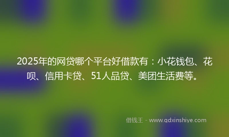 2025年的网贷哪个平台好借款有：小花钱包、花呗、信用卡贷、51人品贷、美团生活费等。