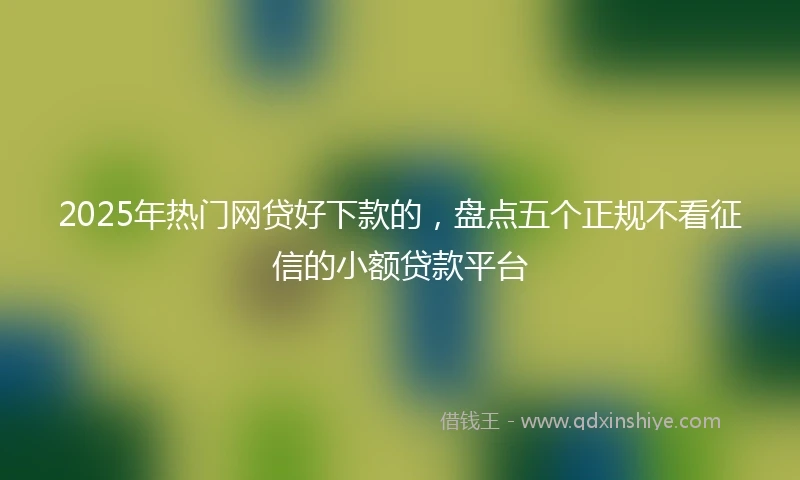 2025年热门网贷好下款的，盘点五个正规不看征信的小额贷款平台