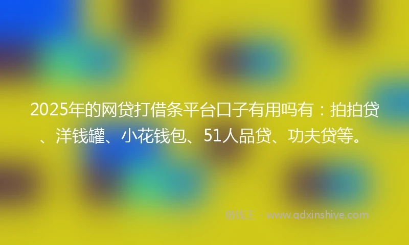 2025年的网贷打借条平台口子有用吗有：拍拍贷、洋钱罐、小花钱包、51人品贷、功夫贷等。