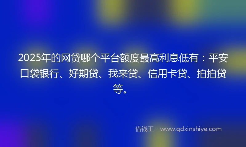 2025年的网贷哪个平台额度最高利息低有：平安口袋银行、好期贷、我来贷、信用卡贷、拍拍贷等。