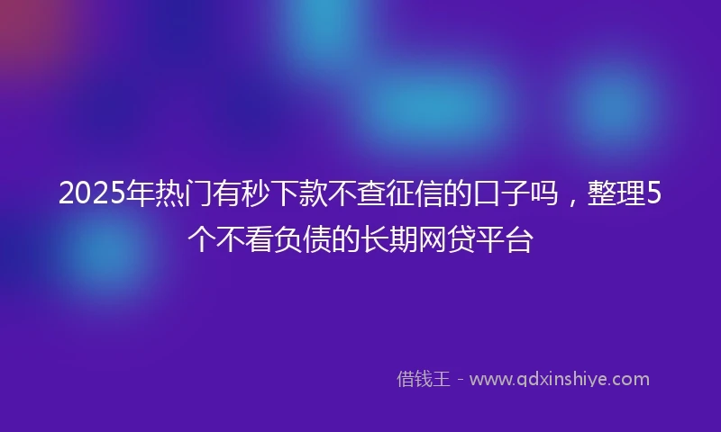 2025年热门有秒下款不查征信的口子吗，整理5个不看负债的长期网贷平台