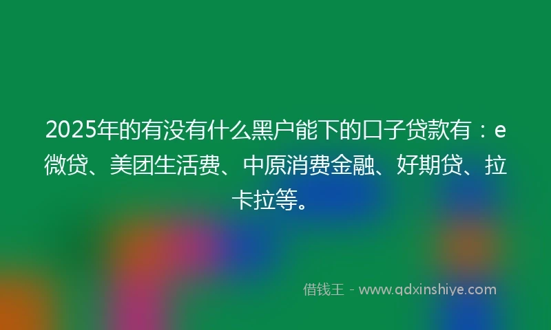 2025年的有没有什么黑户能下的口子贷款有：e微贷、美团生活费、中原消费金融、好期贷、拉卡拉等。