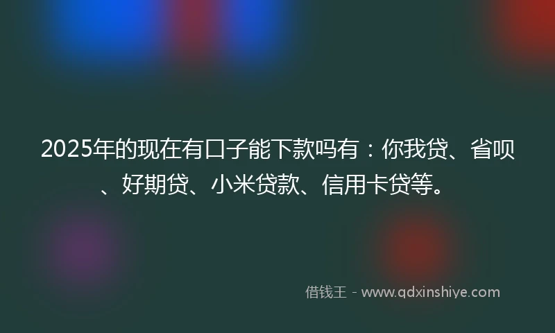 2025年的现在有口子能下款吗有：你我贷、省呗、好期贷、小米贷款、信用卡贷等。